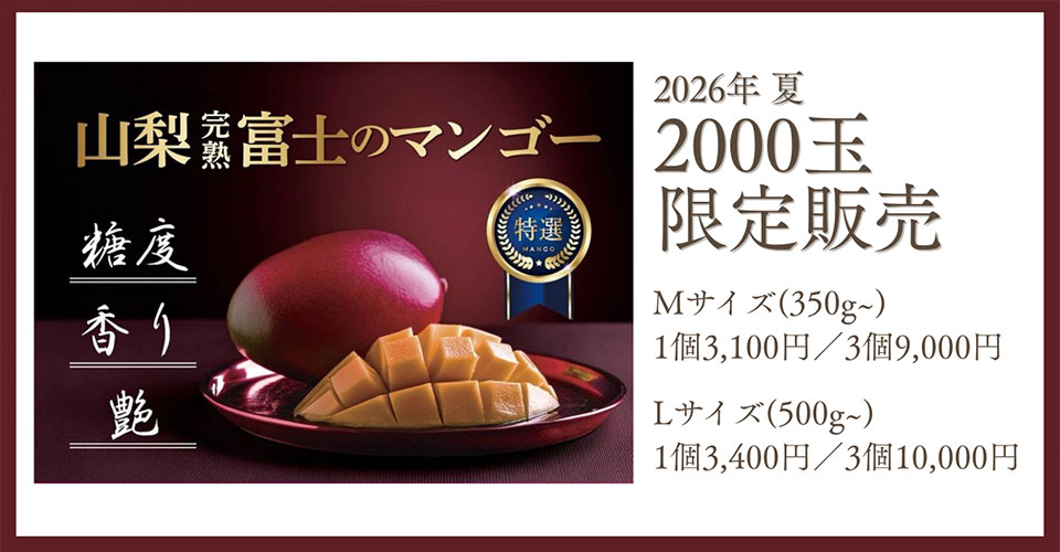 マンゴーの価格