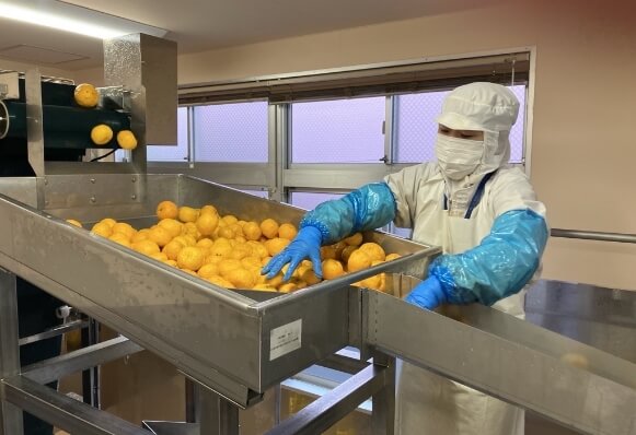 原料としてゆずを加工し、農家さんへ還元