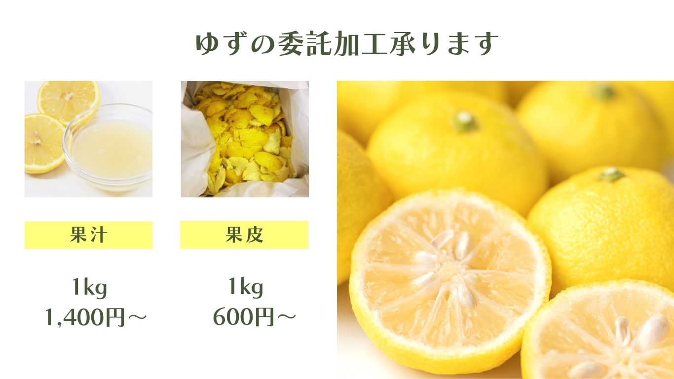 ゆず価格
