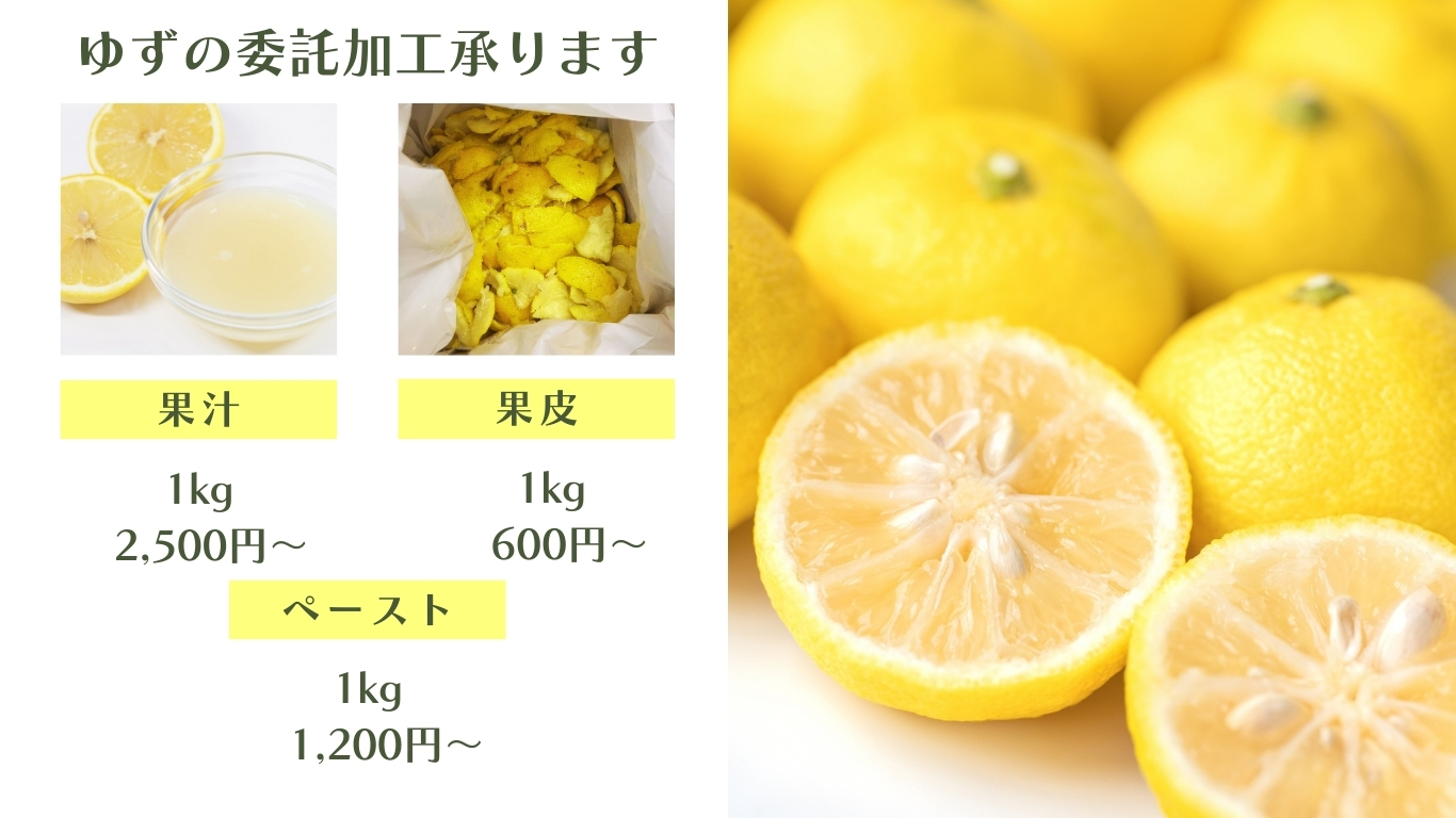 ゆず価格